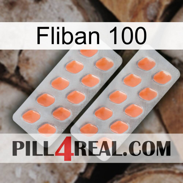 Fliban 100 27.jpg